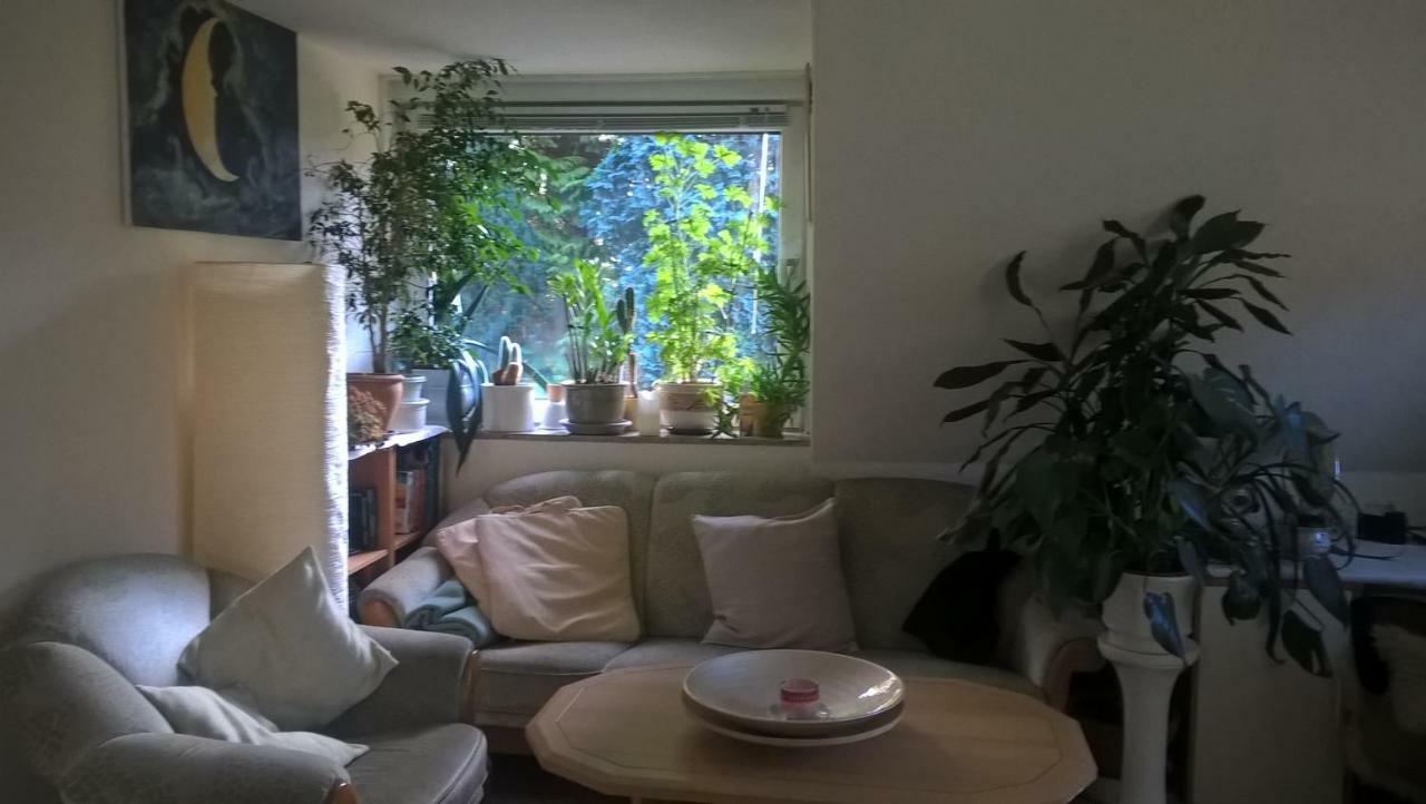 Gemuetl. Ferienwohnung Und Privatzimmer Hamburg Kültér fotó