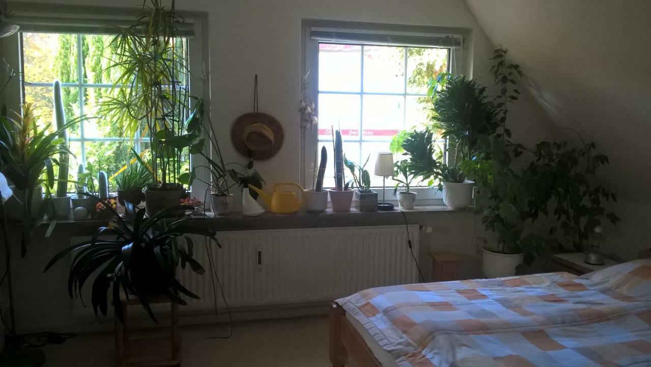 Gemuetl. Ferienwohnung Und Privatzimmer Hamburg Kültér fotó
